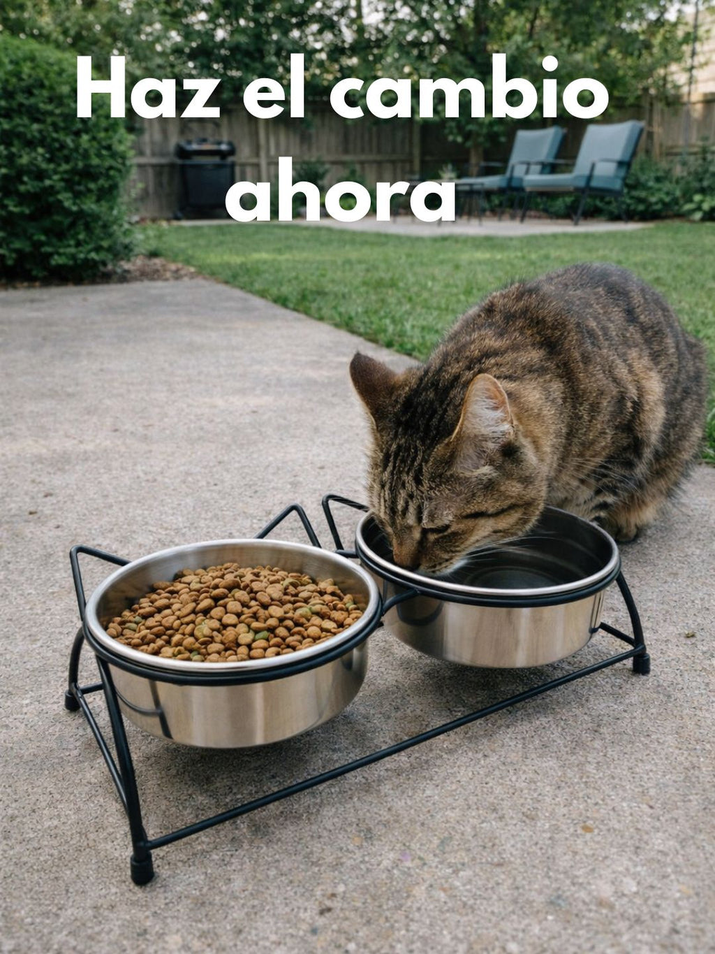 Comedor Doble Elevado para Gato – Antideslizante y Desmontable