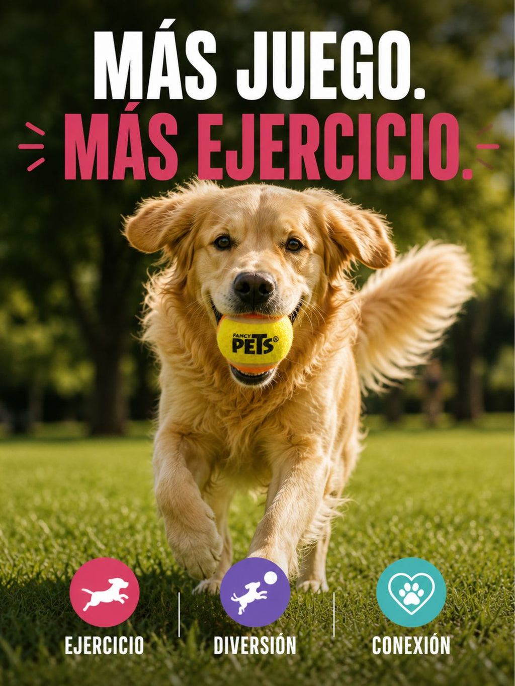 Pack 3 Pelotas de Tenis para Perros – Más Juego, Más Ejercicio