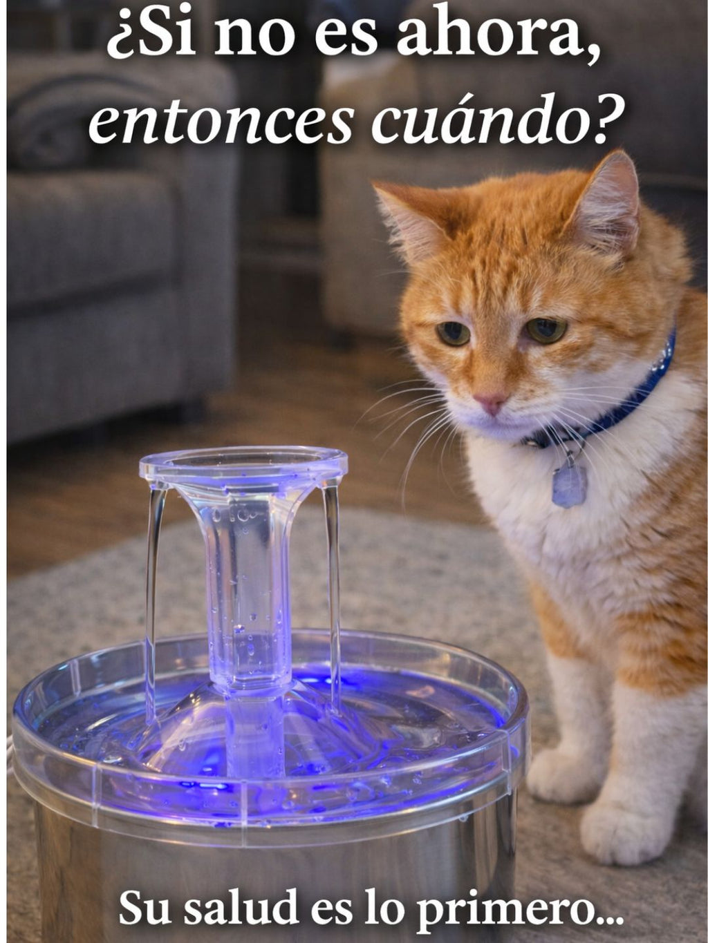 Fuente Dispensador Agua Bebedero Mascotas de Acero Inoxidable – 1.5 lts de agua