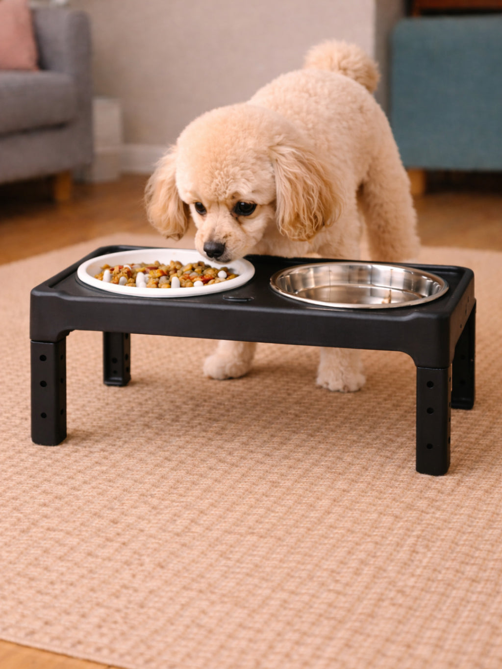 Comedor Ajustable para perros – Altura regulable de 10 a 30 cm de altura + bowls antiestres