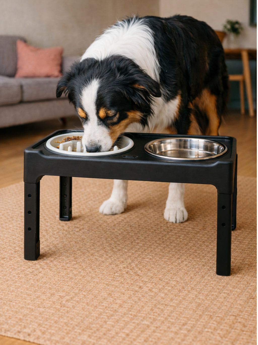 Comedor Ajustable para perros – Altura regulable de 10 a 30 cm de altura + bowls antiestres