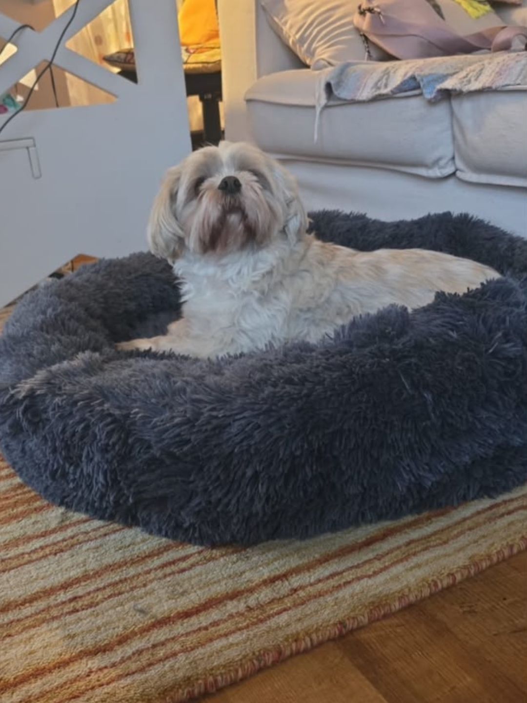 Cama Antiestrés Premium Desmontable Lavable para Perros - Ahorras hasta $20.000