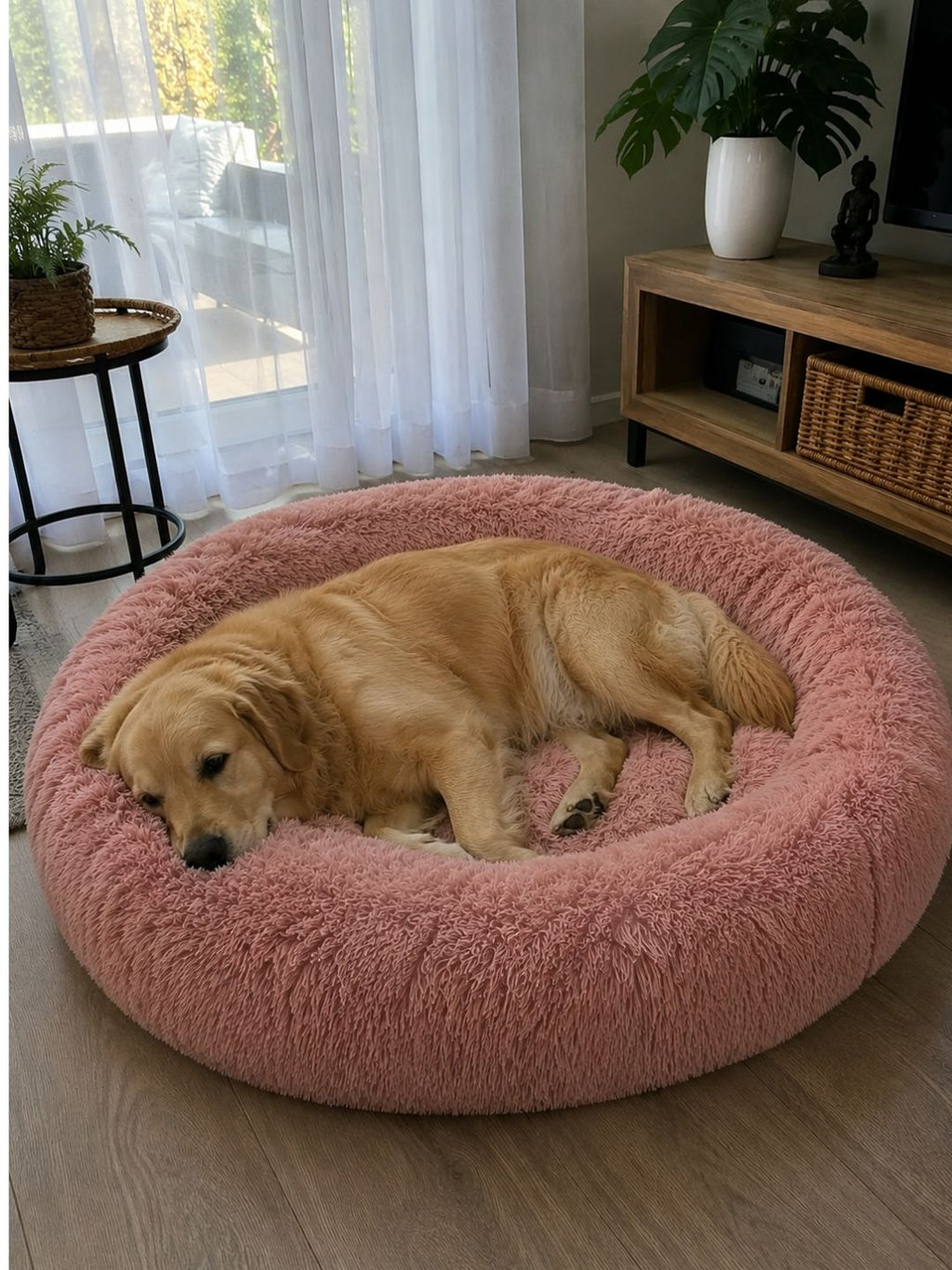 Cama Premium Desmontable Lavable para Perros