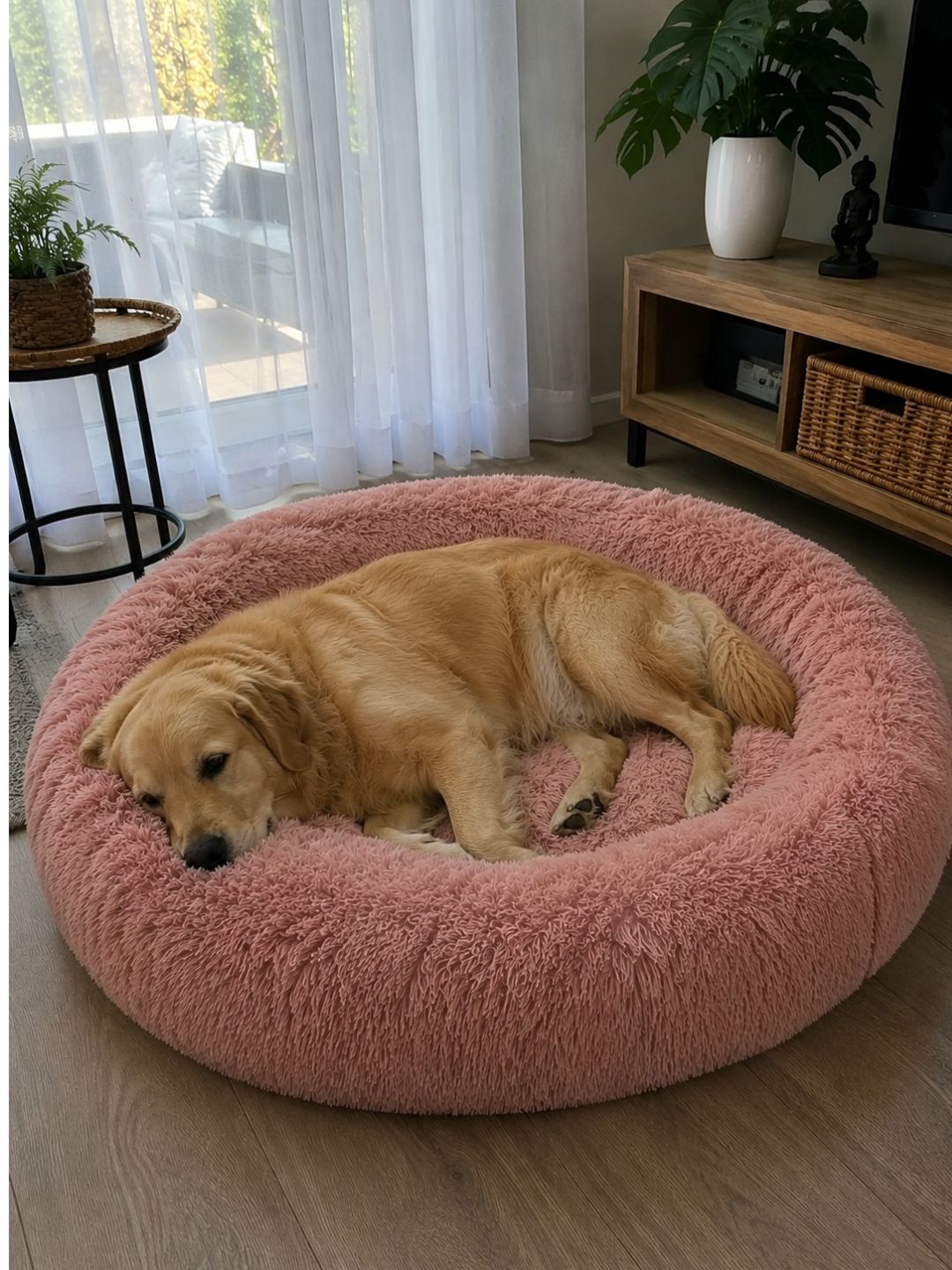 Cama Premium Desmontable Lavable para Perros