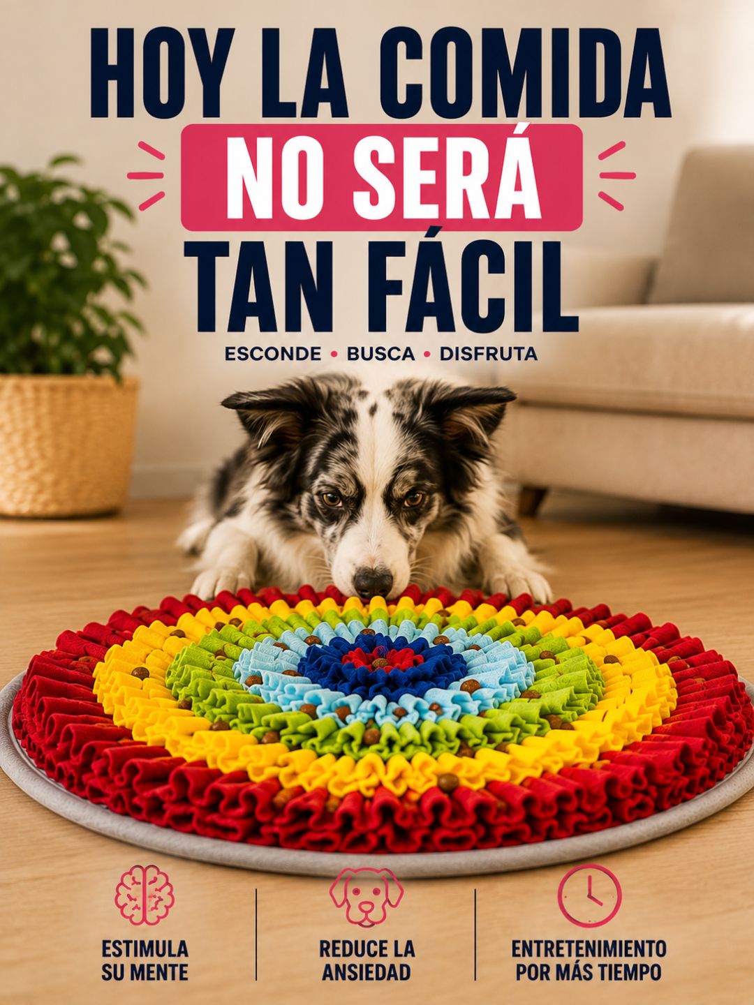 Alfombra Olfativa para Perros – Esconde, Busca y Encuentra