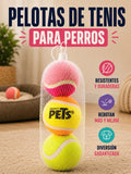 Pack 3 Pelotas de Tenis para Perros – Más Juego, Más Ejercicio