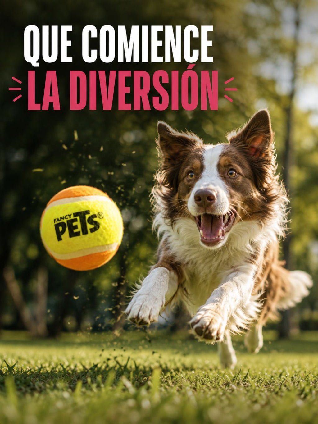 Pack 3 Pelotas de Tenis para Perros – Más Juego, Más Ejercicio
